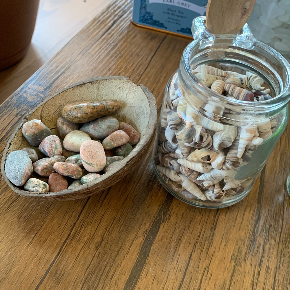 shells and stones from Lake Michigan